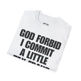 GOD FORBID I COMMIT A LITTLE TAXFRAUD